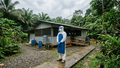 Congo Ebola Treatment Trial Begins as Outbreak Kills Hundreds in Ituri Province
